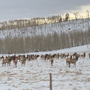 Meet your Posher, Connor